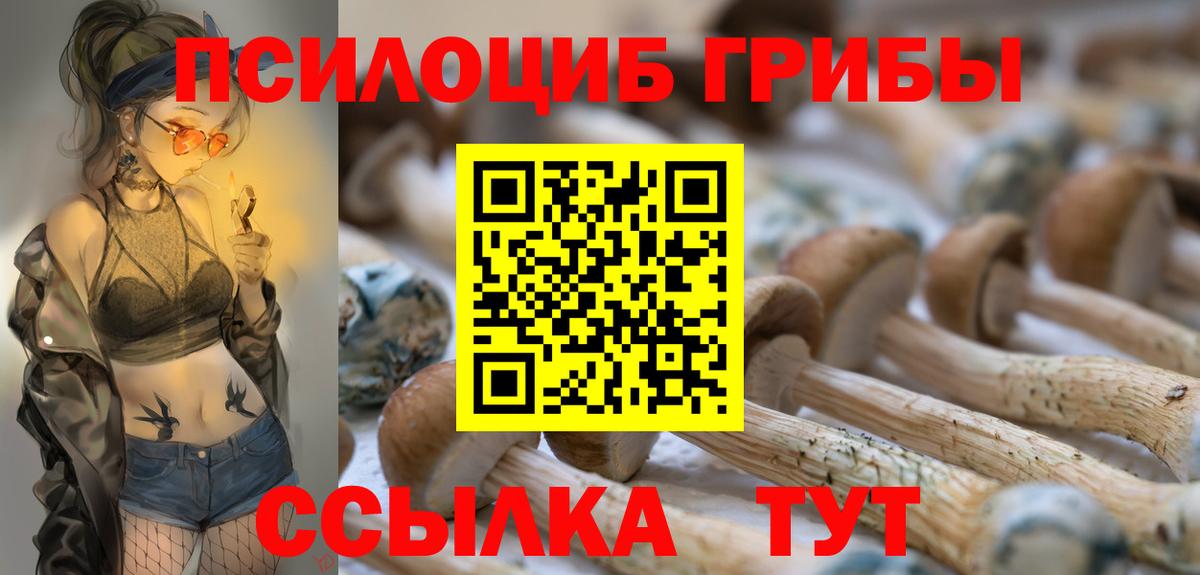 Псилоцибиновые грибы Psilocybe  Вход с VPN  где купить наркоту  Смоленск 
